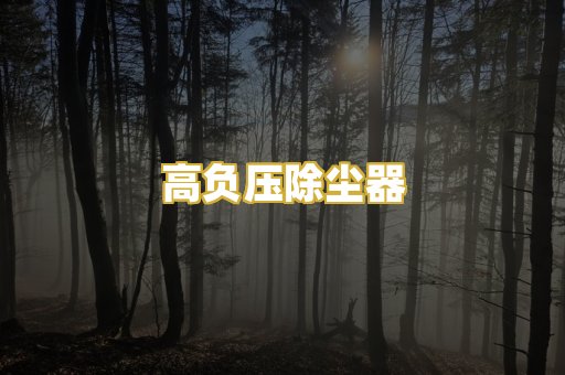 高负压除尘器